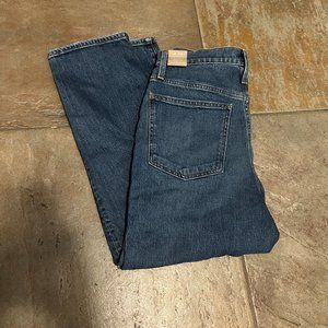 Madewell Balloon Jeans Ellisboro Wash NWT